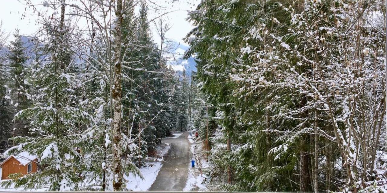 Packwood Ski & Vacation Getaway Екстериор снимка